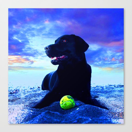 Ziggy Black Labrador Canvas Print