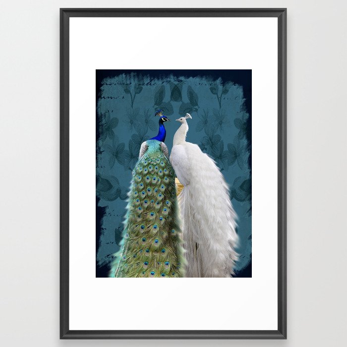 White Peacock and Blue Peacock Bird A732 Framed Art Print