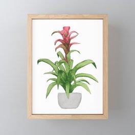 Pink Bromeliad Framed Mini Art Print