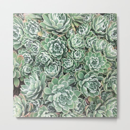 Succulent Bed Metal Print