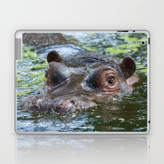 Hippo In The Water Laptop & iPad Skin