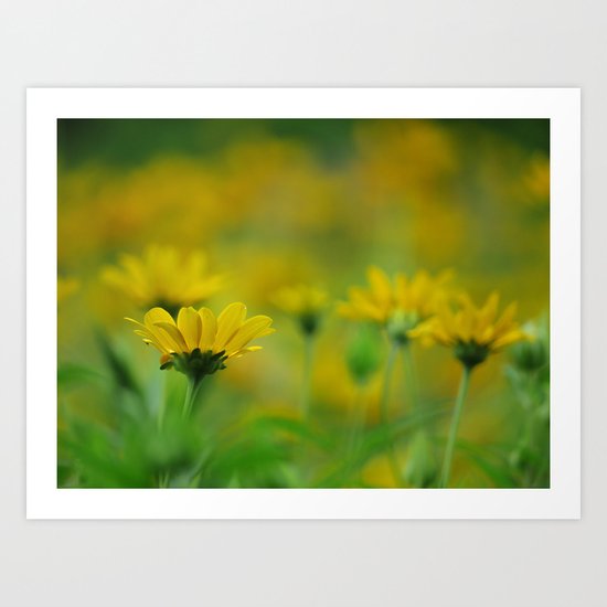 Blurs of Summer Art Print