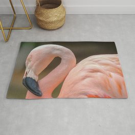 Chilean Flamingo Rug