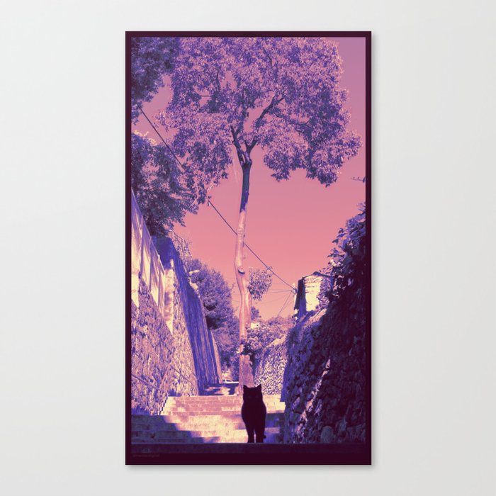 Cat on a Way Canvas Print