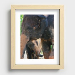 Elephant Family  Recessed Framed Print