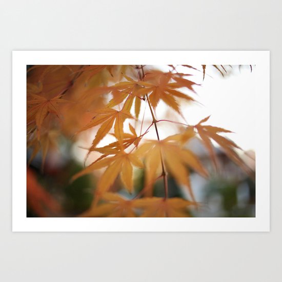 Free Fall Art Print