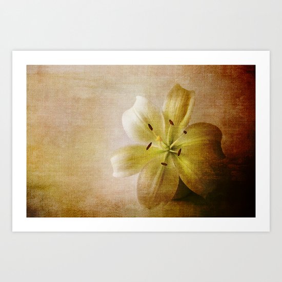 Textured Lily Art Print