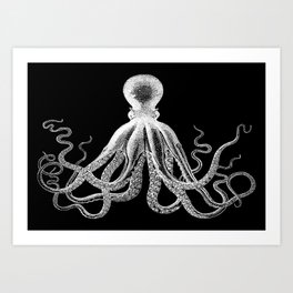 Octopus | Vintage Octopus | Tentacles | Black and White | Art Print