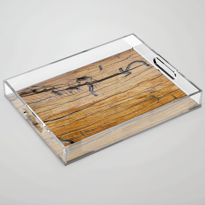 Natural wood background, wood slice and organic texture Acrylic Tray