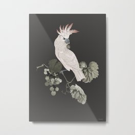 Cockatoo and Grapevine Metal Print | Painting, Moluccan, Digitalpainting, Digital, Bird, Asian, Salmoncrested, Cockatoo, Spadecaller 