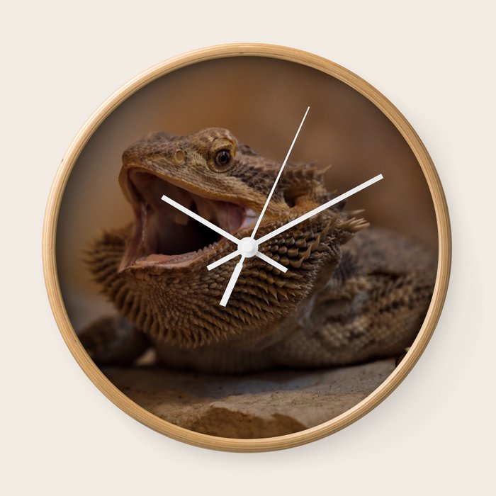 Hissing Bearded Dragon Wall Clock By Rawshutterbug Society6