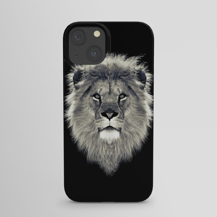 Lion Portrait iPhone Case