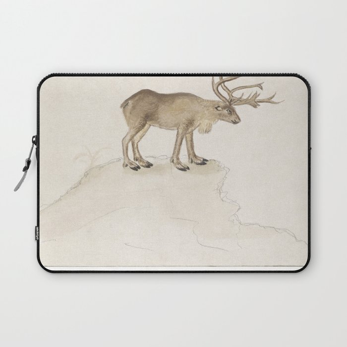 Reindeer, Rangifer tarandus  Laptop Sleeve