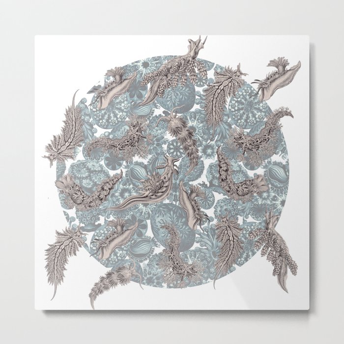 Ernst Haeckel Lavender Grey Nudibranch Over Cerulean Sea Squirts Metal Print
