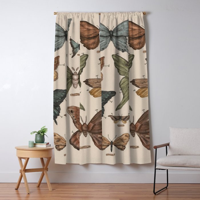Butterflies And Moth Specimens Blackout Curtain By Jessicaroux