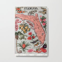 Vintage Map of Florida (1917) Metal Print | Vintage, Illustration 