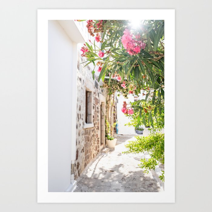 Greek morning / Sun shining through flowering trees in street of Milos island, Greece Art Print