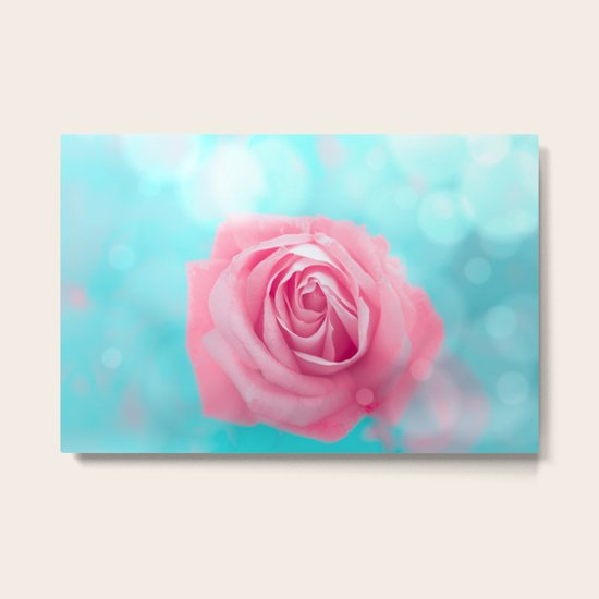 Rose Metal Print