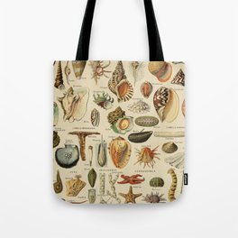 Vintage sealife and seashell illustration Tote Bag