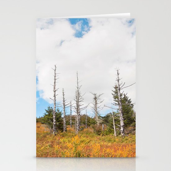 Trees in Mt. Rogers, Virginia Stationery Cards