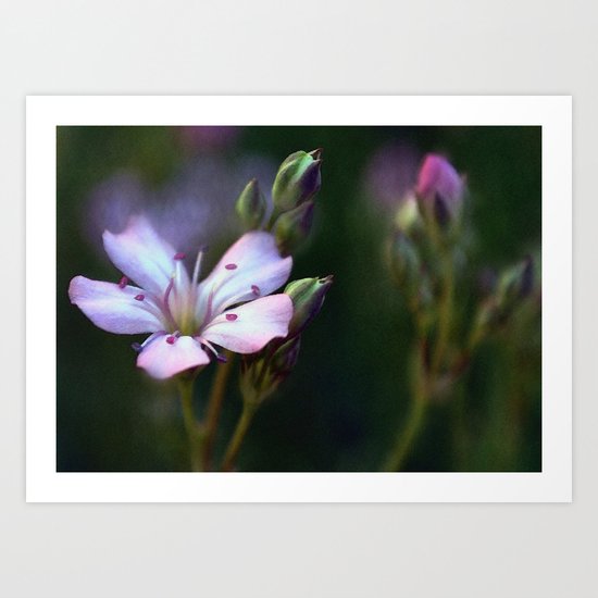 A Touch of Pink Art Print