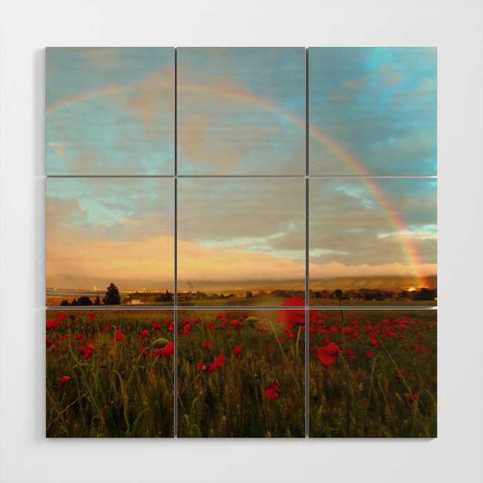 Red poppy fields of Tuscany with rainbow after storm color photographic art print photography / photography for kitchen, dining room, home and wall decor Wood Wall Art