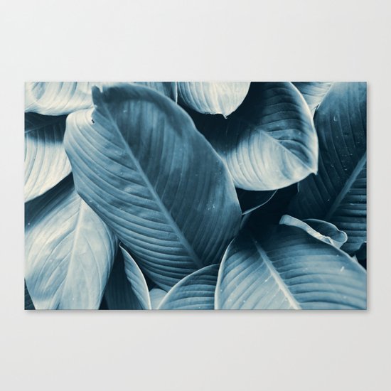 Blue Tropical Leaves Canvas Print