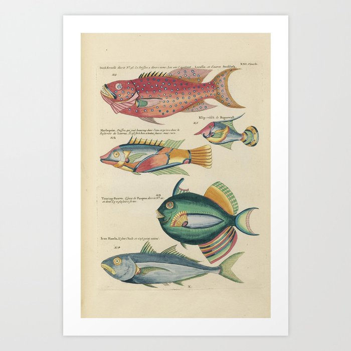 Art Print