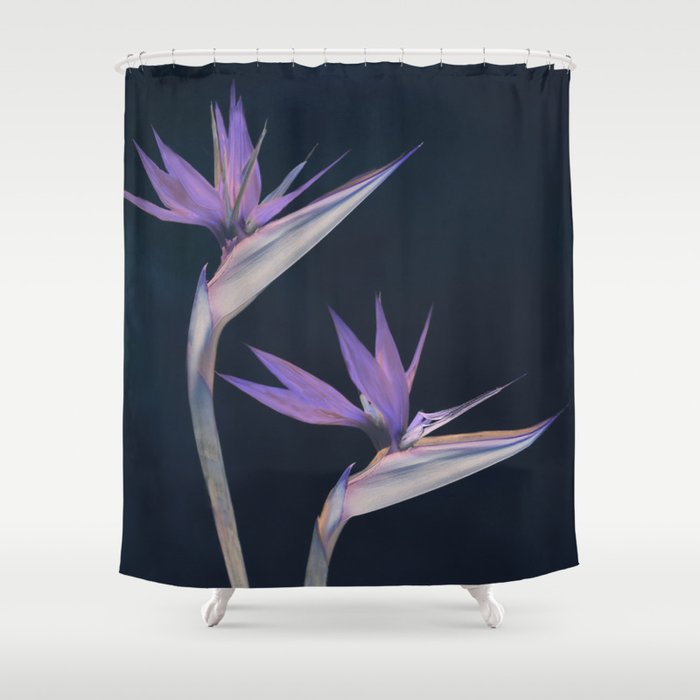 Birds of paradise Shower Curtain