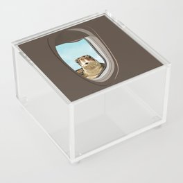 Hello! Sea Turtle Acrylic Box