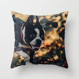 Anton Photo & Design Throw Pillow