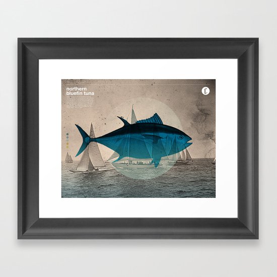 Northern Bluefin Framed Art Print