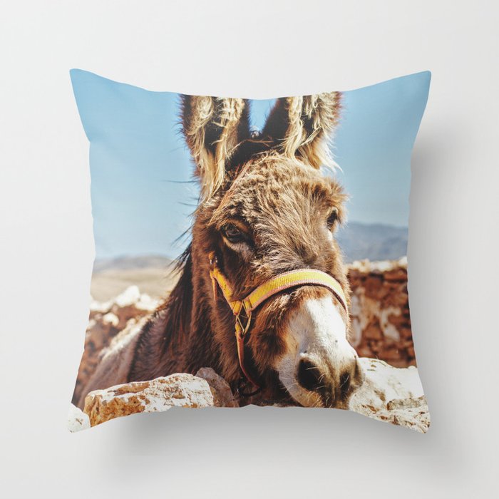 Throw Pillow