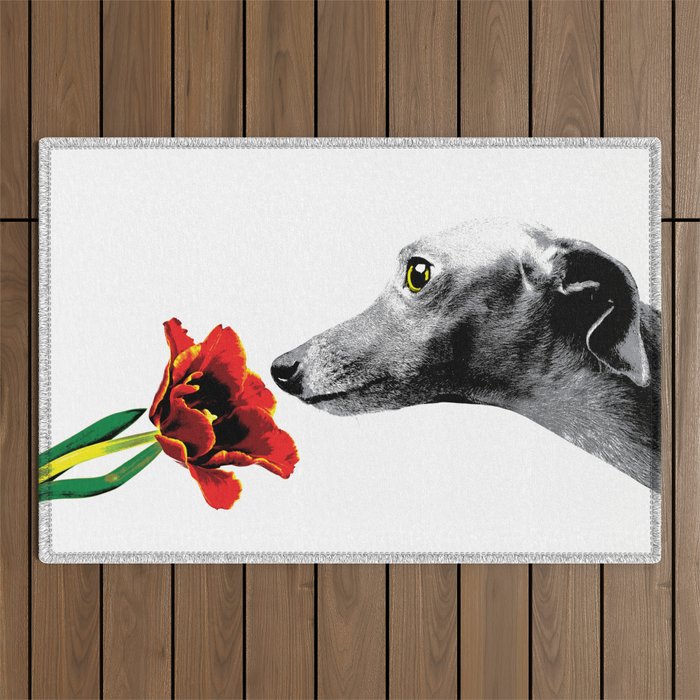 Italian Greyhound smelling flower Outdoor Rug