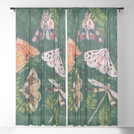 Moths and dragonfly Sheer Curtain