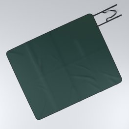 Dark Green Solid Color Pairs Benjamin Moore Hunter Green 2041-10 - Trending Color 2019 Picnic Blanket