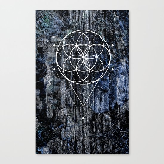 Flower geometry Canvas Print