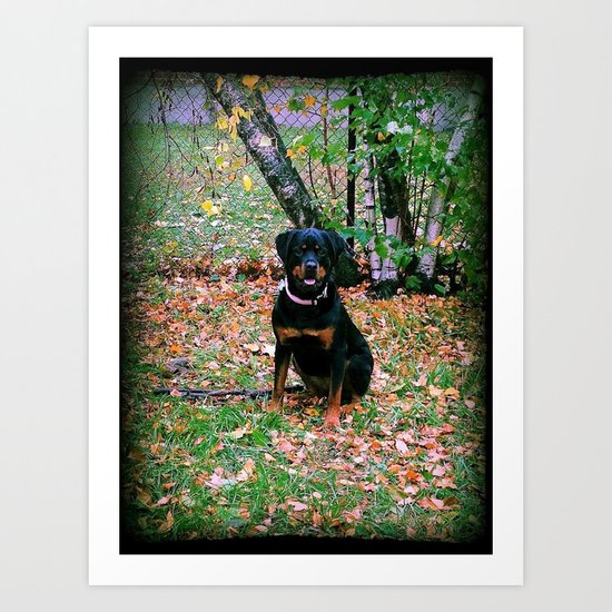 Puppy Art Print