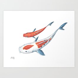 Koi Fish Pair, Watercolor Painting Art Print