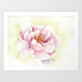 Springtime Pinks Art Print