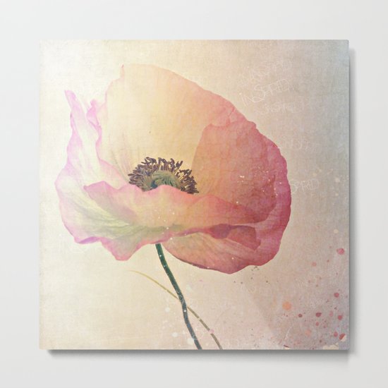 Inspired by the light -- Pink Poppy Flower Metal Print