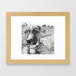 Pup Framed Art Print