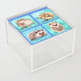 Four Adorably Cute and Cuddly Hedgehogs Acrylic Box