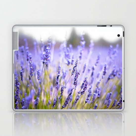 Lavenders Laptop & iPad Skin