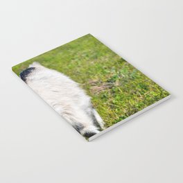 Crazy Funny Little Goat Looking Somewhere  Notebook