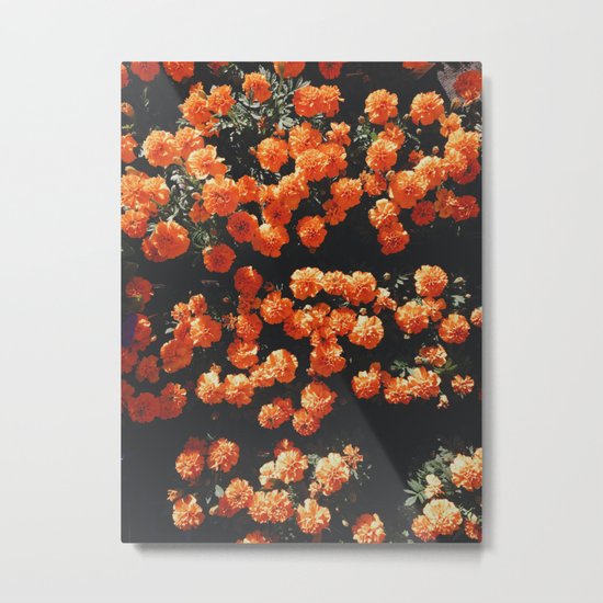 Orange Flowers Everywhere Metal Print