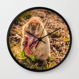 Good food makes good mood Wall Clock | Goodmood, Meat, Animal, Groundsquirrel, Photo, Funny, Gopher, Cuteanimals, Goodfood, Squirrel 