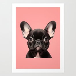 Cute frenchie puppy Art Print