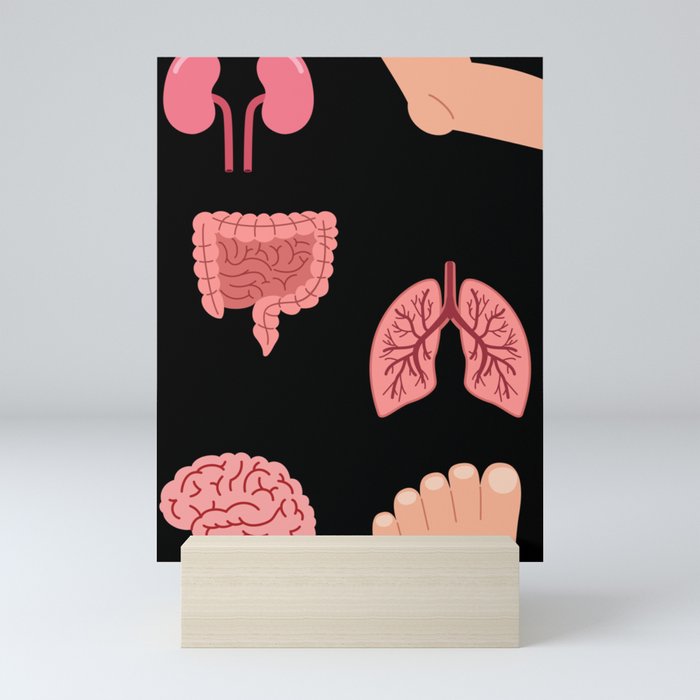 Human anatomy Mini Art Print