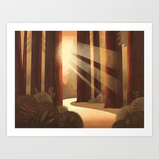 Redwoods Art Print